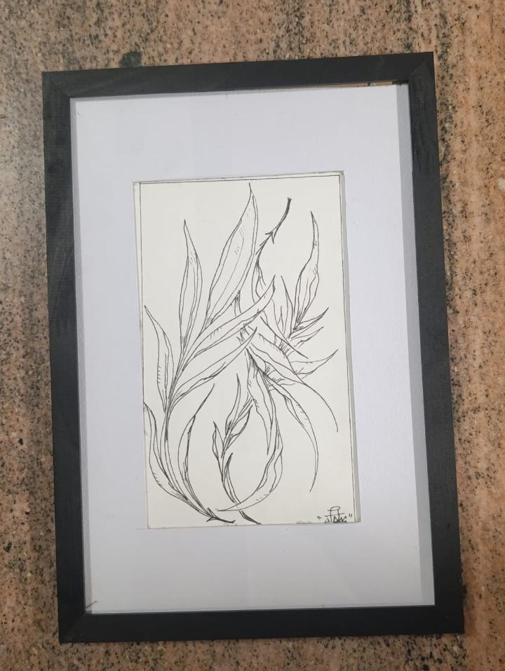 Obra 5